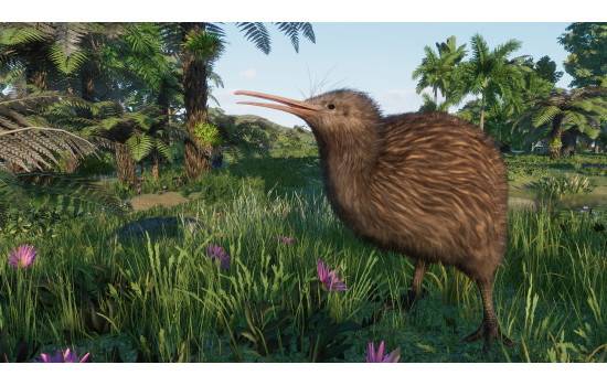 Planet Zoo: Oceania Pack