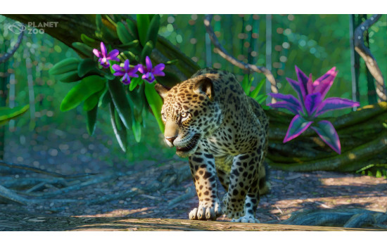 Planet Zoo: South America Pack