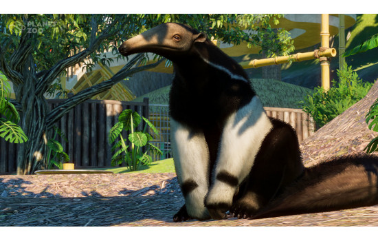 Planet Zoo: South America Pack