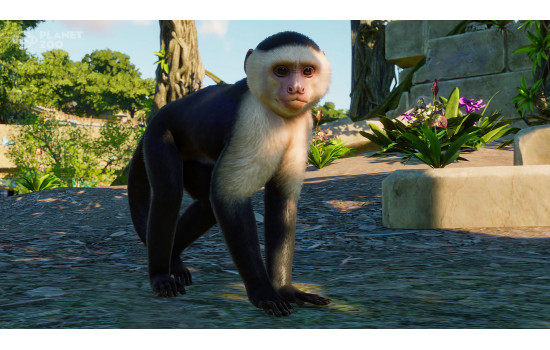 Planet Zoo: South America Pack