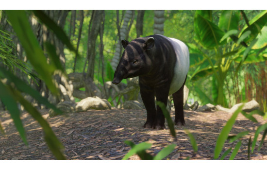 Planet Zoo: Southeast Asia Animal Pack