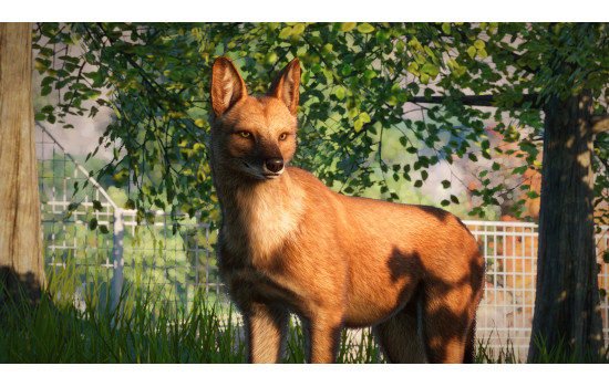 Planet Zoo: Southeast Asia Animal Pack