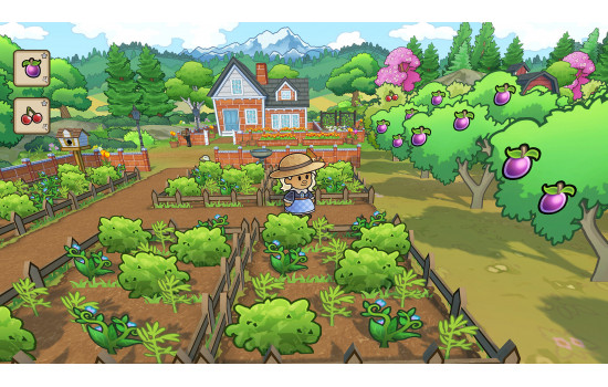 Echoes of the Plum Grove