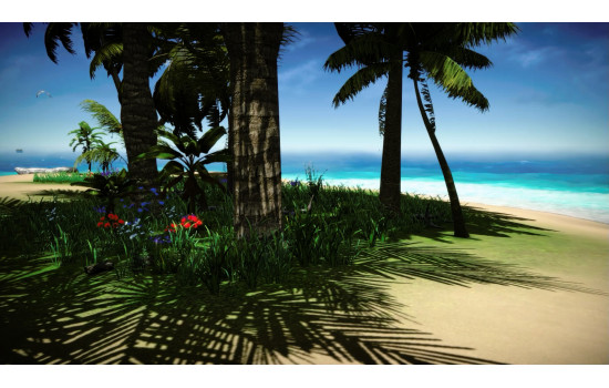 Forgotten Seas