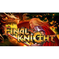 FINAL KNIGHT