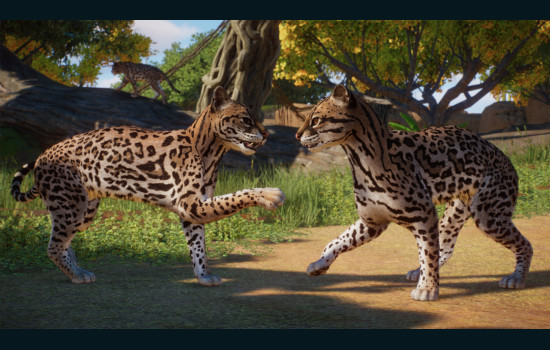 Planet Zoo: Americas Animal Pack