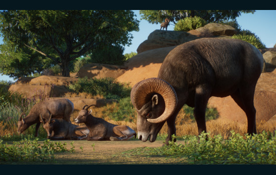 Planet Zoo: Americas Animal Pack