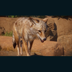 Planet Zoo: Americas Animal Pack