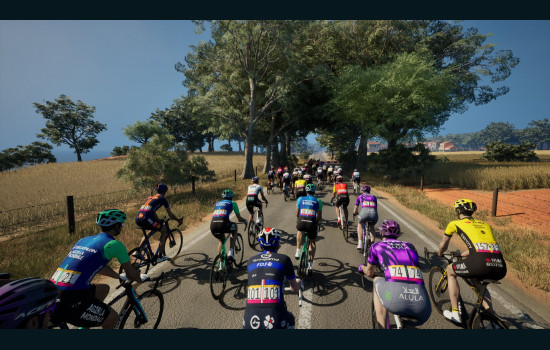 Pro Cycling Manager 25