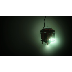 Still Wakes the Deep: Siren's Rest