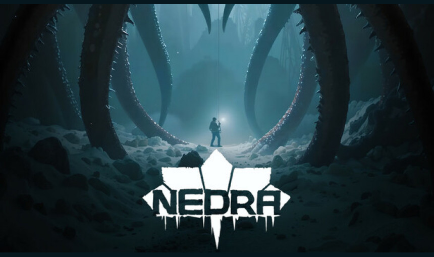 NEDRA NEDRA