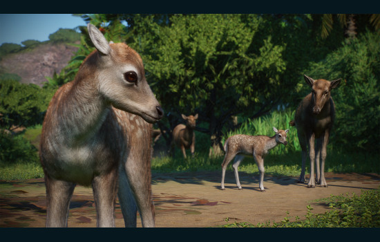 Planet Zoo: Asia Animal Pack