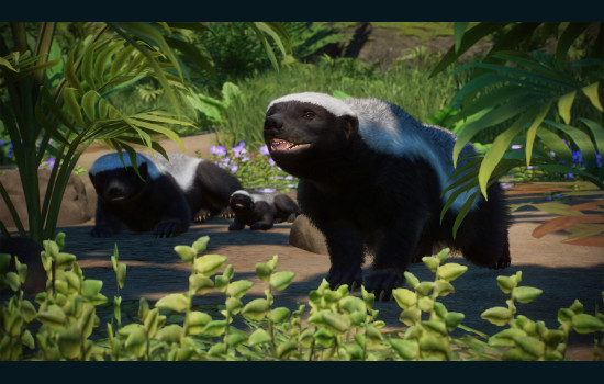 Planet Zoo: Asia Animal Pack