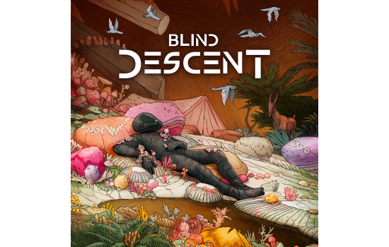 Blind Descent
