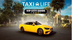 Taxi Life - VIP City Guide