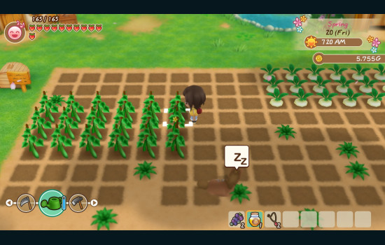 STORY OF SEASONS: Friends of Mineral Town