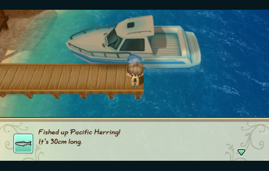 STORY OF SEASONS: Friends of Mineral Town