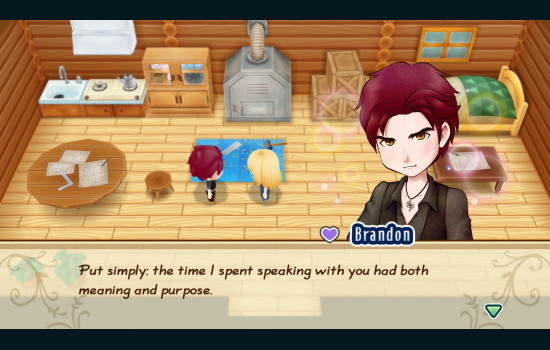 STORY OF SEASONS: Friends of Mineral Town