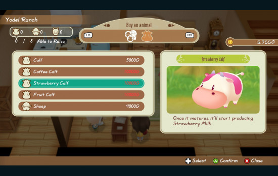 STORY OF SEASONS: Friends of Mineral Town