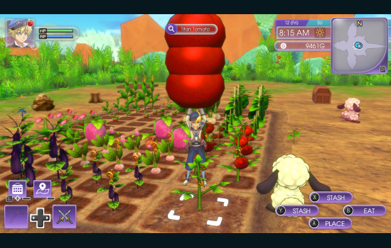 Rune Factory 5